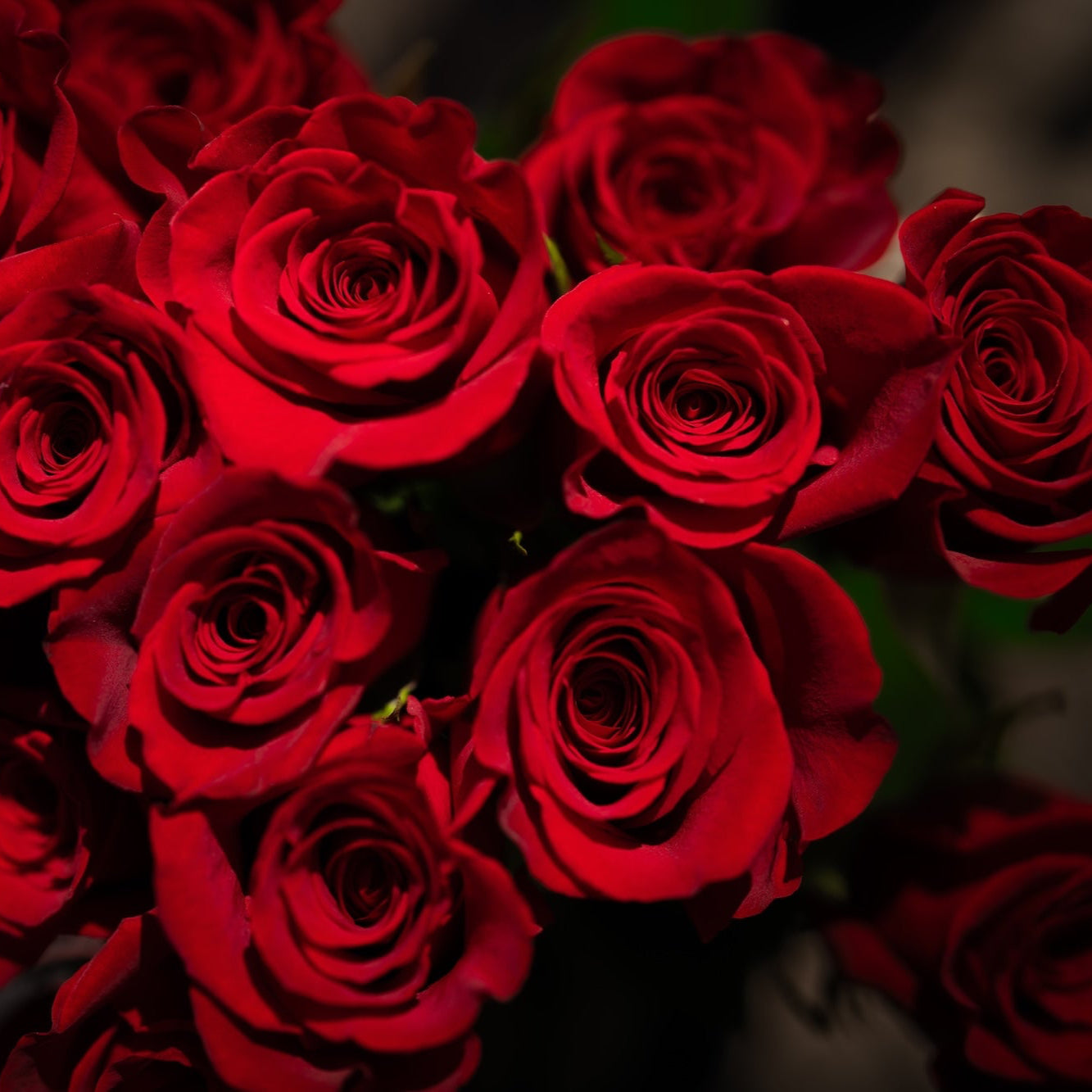 Box of Red Roses