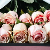 Premium Pink Roses Bouquet in a Luxury Box