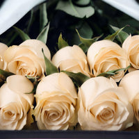 Boîte Premium de Roses Blanches