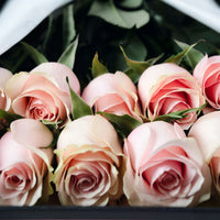 Boîte Premium de Roses Roses